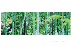 BAMBOO sada obrazov BAMBOO sada obrazov