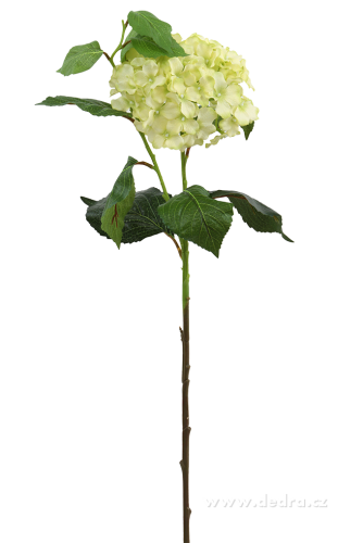 HORTENZIA ateliérový kvet 