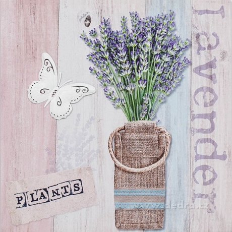 PLANTS lavender 3D obraz