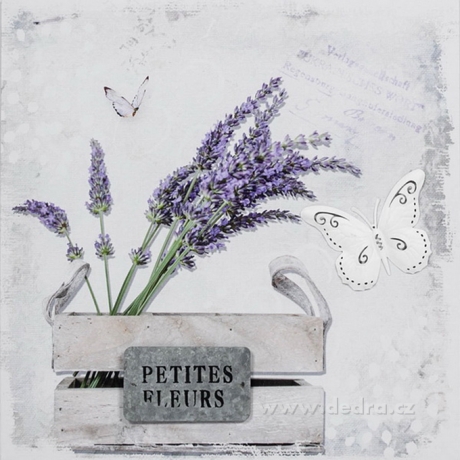 PETITES fleurs 3D obraz