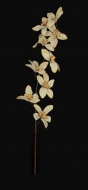 ORCHIDEA kvety zlaté ORCHIDEA kvety zlaté