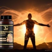 CORDYCEPS SUPREME 520 mg | 50 % polysacharidů a 20 % beta-glukanů | pro výkon, zdraví a imunitu | 90 kapslí 