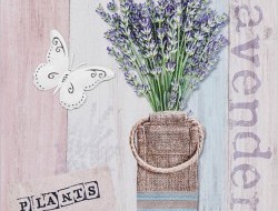 PLANTS lavender 3D obraz