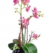 SKLENENÁ váza čierna výška 12,5 cm