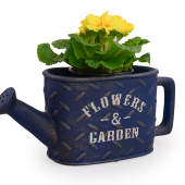 FLOWERS & GARDEN kvetináč modrý 