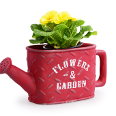 FLOWERS & GARDEN kvetináč červený