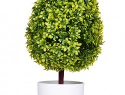 BUXUS ateliérový stromček