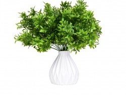 BUXUS trs lístkov