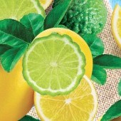 ECOBALSAM AQUATIX bergamot a citrón