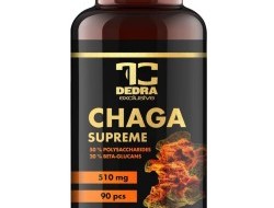 CHAGA 510 mg | 50 % polysacharidů + 20 % beta-glukanů | podpora imunity & antioxidanty | 90 kapslí 