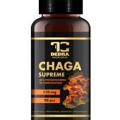 CHAGA 510 mg | 50 % polysacharidů + 20 % beta-glukanů | podpora imunity & antioxidanty | 90 kapslí 
