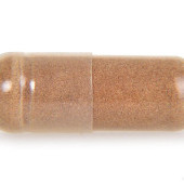 90 kapslí REISHI 500 mg 