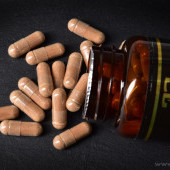 90 kapslí REISHI 500 mg 