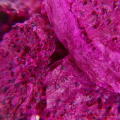 EXOTICKÁ PITAYA - lyofilizované plátky, ovoce sušené mrazem 