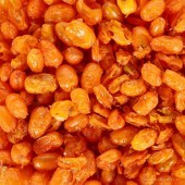 VÝRAZNÝ RAKYTNÍK | lyofilizovaný, celé plody sušené mrazem 