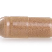 HLÍVA ÚSTŘIČNÁ 520 mg | 50 % polysacharidů a 20 % beta-glukanů | vitalita, imunita a metabolismus tuků | 90 kapslí 
