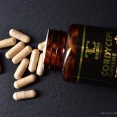 CORDYCEPS SUPREME 520 mg | 50 % polysacharidů a 20 % beta-glukanů | pro výkon, zdraví a imunitu | 90 kapslí 