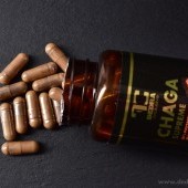 CHAGA 510 mg | 50 % polysacharidů + 20 % beta-glukanů | podpora imunity & antioxidanty | 90 kapslí 