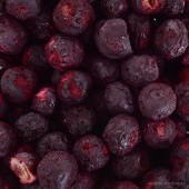 LESNÍ BORŮVKY | lyofilizované, celé ovoce sušené mrazem | 50 g 