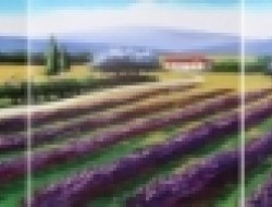 Sada 3 obrazov MDF doska s potlačou PROVENCE LAVENDER