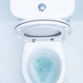 EKO samočistiace tablety do WC odpadu ECOTABS TOILET 10 tabliet