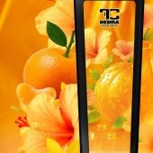 L'AVIVAGE MANDARINE FLORALE | Avivážní kondicionér 