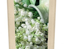 L'AVIVAGE lily of the valley